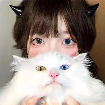 小谢尔顿第四季